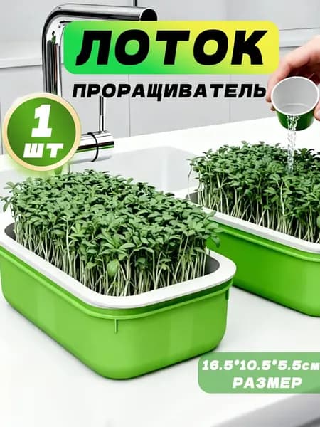 Проращиватель семян,1шт