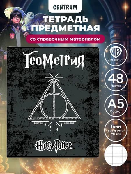 Тетрадь предметная Геометрия Гарри Поттер, А5, клетка, 48 листов