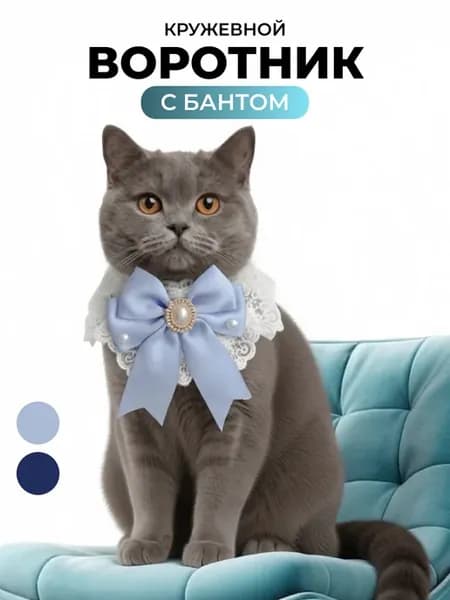 Кружевной воротник для кошек и собак