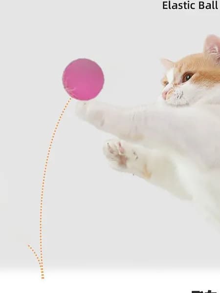 Игрушка для кошек перьевая эластичный мяч, дразнилка для кошки, точит зубы, развлекает питомца, помогает избавиться от скуки