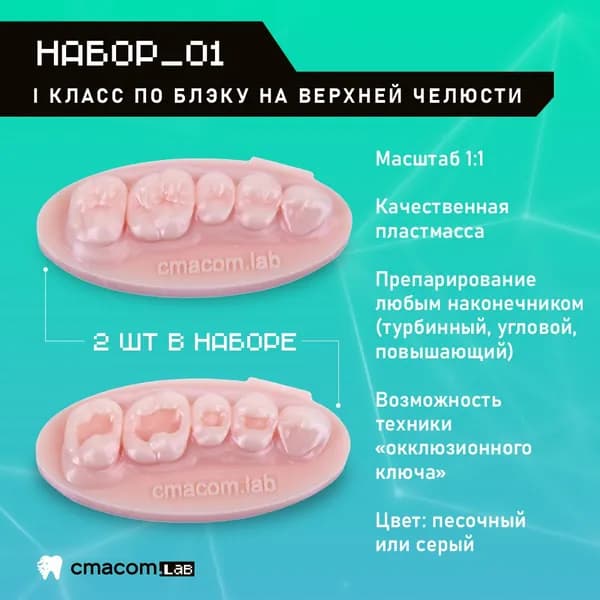Набор#1 Модели для реставрации зубов/2 штуки/4 зуба/тренировочные модели
