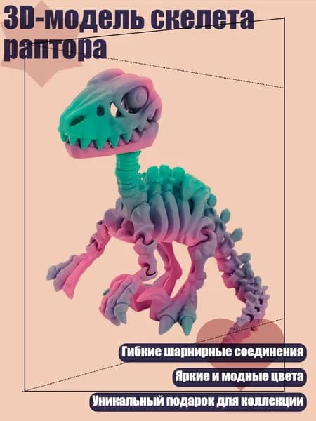3D-модель скелета раптора, - мини - 5