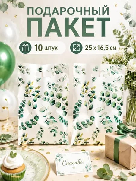Пакет подарочный 25x16.5 см, 10 шт.