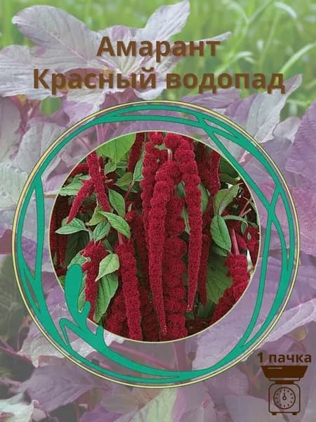 Амарант Красный водопад 10 шт семян
