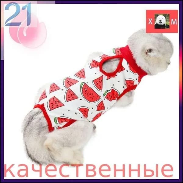 Попона для кошек, послеоперационная Размер M, обхват груди 34 см, длина по спине 25 см, обхват шеи 24 см, рекомендуемый вес 3 кг