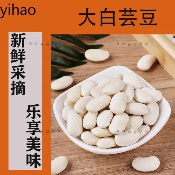 Бобовые, белая фасоль, сушеная, натуральная, для приготовления, универсальная, для оптовой продажиz