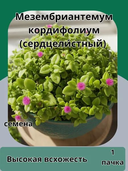 Мезембриантемум Кордифолиум (сердцели стный), семена 10шт