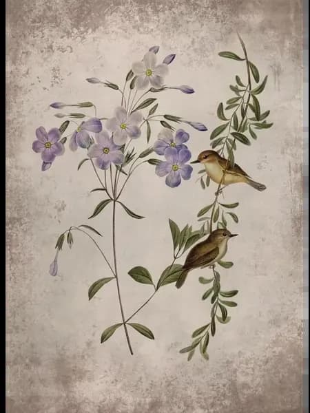 Печать на холсте "Птицы" Белый, WHITE, 50x70cm No Frame