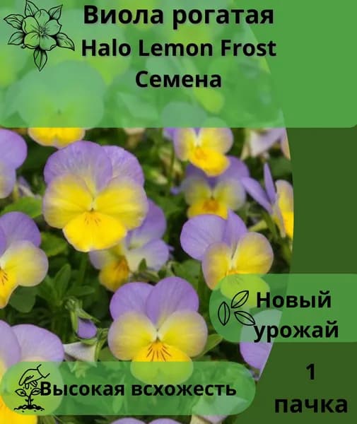 Виола рогатая Halo Lemon Frost, семена 10шт