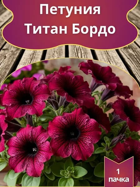 Петуния Титан Бордо (семена)