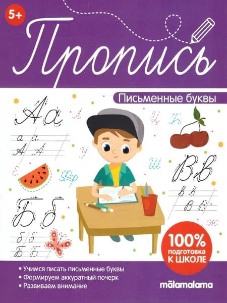 Письменные буквы. Пропись. 100% подготовка к школе