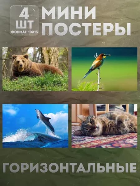 Мини постеры 10 на 15 (набор) «Животные» 4 шт