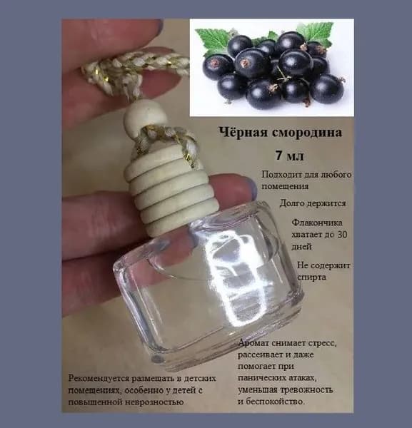 Ароматизатор подвесной Листья смородины, 7 мл