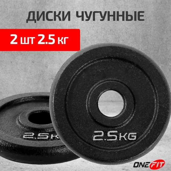 Диски для штанги OneFit, чугунные, 2 шт по 2,5 кг, d-26мм, 100-008