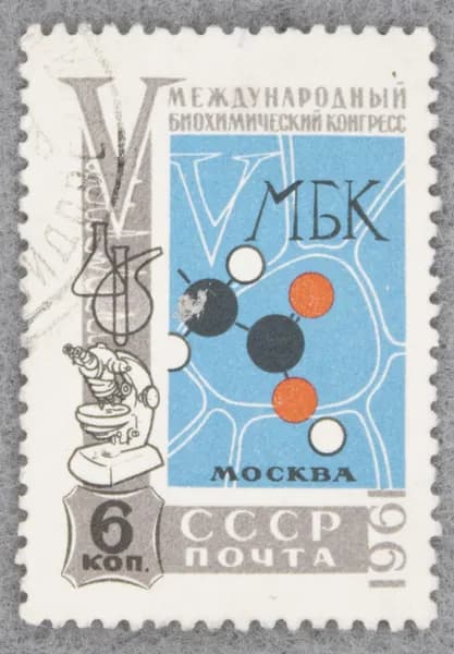 Почтовая марка "V Международный биохимический конгресс в Москве". Номинал 6 коп. СССР. 1961 год. (Загорский 2510)