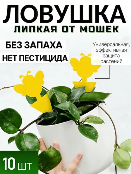 Ловушка для садовых вредителей