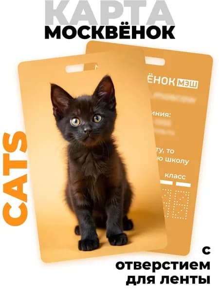 Карта школьника Москвёнок CATS №3