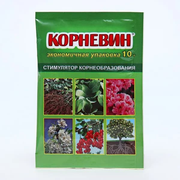 Стимулятор корнеобразования Корневин , 10 г