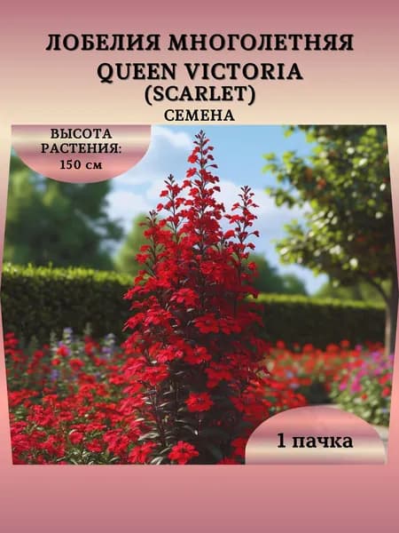 Лобелия многолетняя "Queen Victoria (Scarlet)" семена, 1 пачка