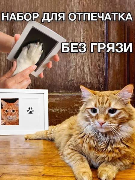 Набор для отпечатка лап, Без грязи, 15.4x10.8 см