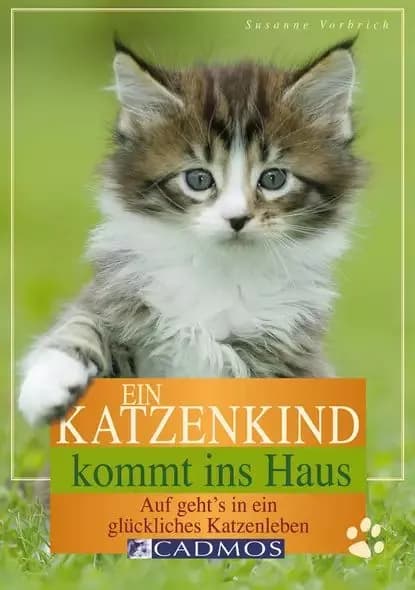 Ein Katzenkind kommt ins Haus | Vorbrich Susanne | Электронная книга