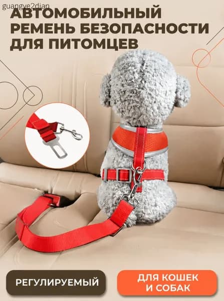 Ремень безопасности для собак в машину