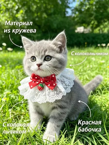 Милый бантик красного цвета с колокольчиком, размерная линейка XS-L для питомцев