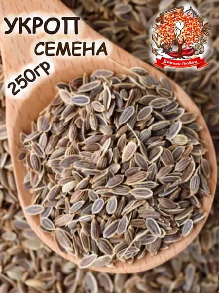 Семена укропа