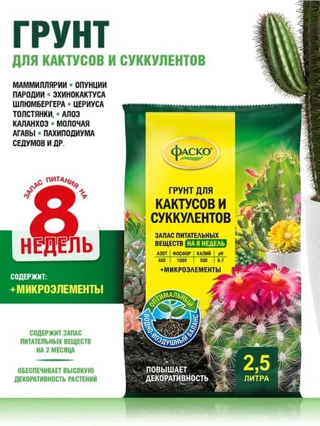 Грунт для кактусов и суккулентов земля для цветов 2,5 л