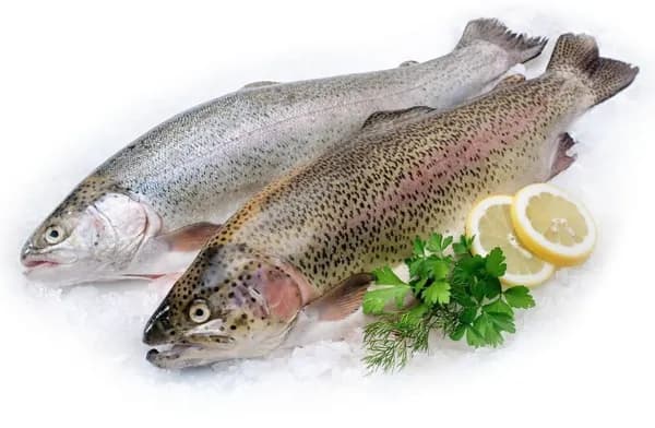 Форель Радужная ЛЕНТА FRESH потрошеная с головой 3 кг