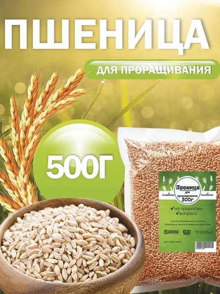 Пшеница для проращивания, заваривания, витграсс 0,5 кг