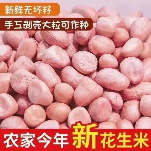 Свежий крупный арахис нового урожая, розовая кожура, сушёный, для масла и посева