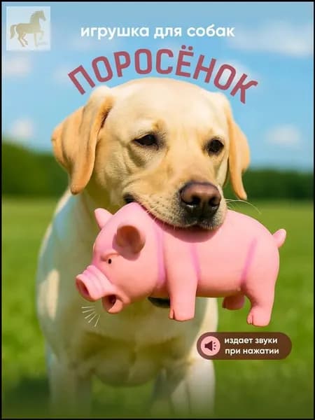 Качественная резиновая свиньяпищалка для собак