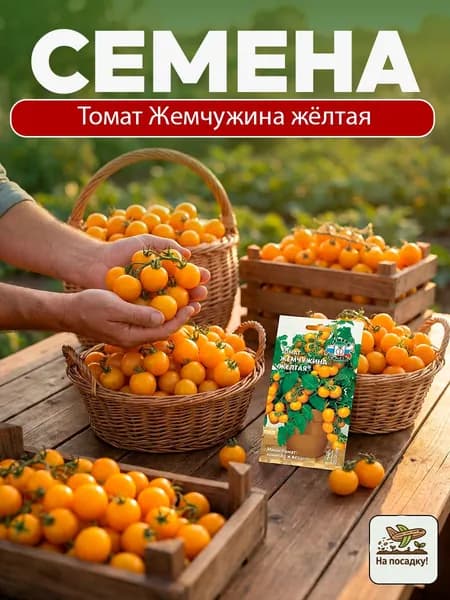 Семена Томат Жемчужина Желтая F1 0,05 гр. / Седек