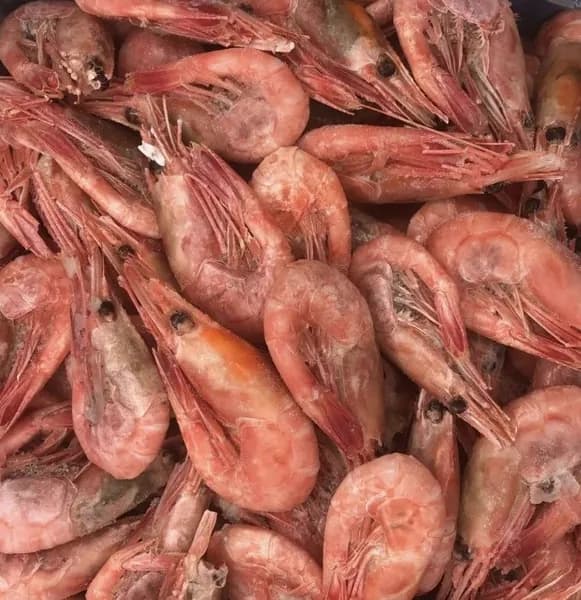 Креветка в панцире 90+ в/м 5 кг. Weihai Transport Aquatic Food Co.,Ltd