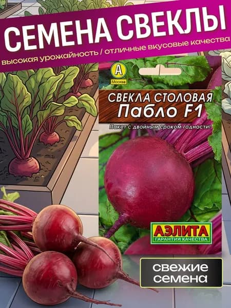 Семена свеклы Пабло F1 столовая (сладкая) для огорода, теплицы и открытого грунта