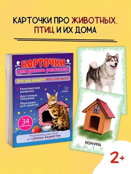 Кто где живёт? Кто что ест? / Карточки для малышей развивающие