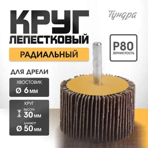 Круг шлифовальный 50 x 6; P80