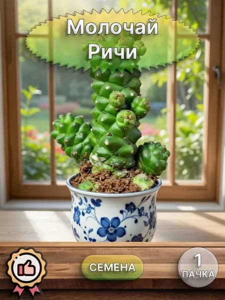 Молочай Ричи, семена 10 шт.