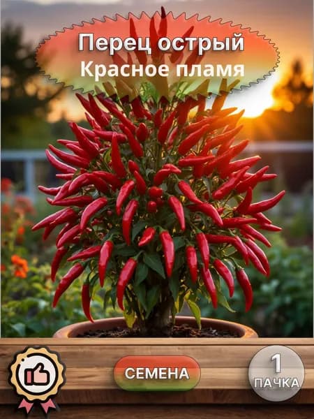 Перец острый Красное пламя, семена, 10 шт.