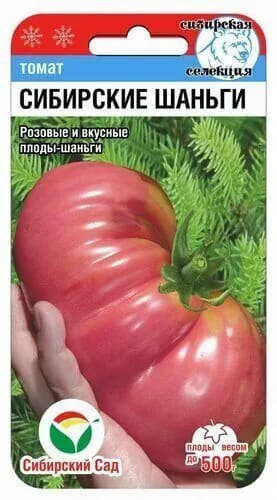 Томат Сибирские шаньги