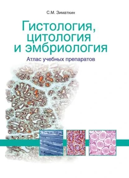 Гистология, цитология и эмбриология: атлас учебных препаратов | Зиматкин Сергей Михайлович | Электронная книга