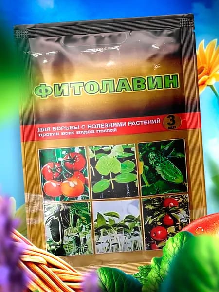 от вершинной гнили на томатах