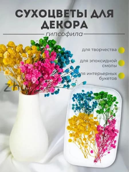 Сухоцветы Гипсофила, 1 шт