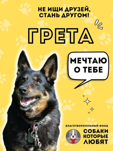 Помочь Грете найти дом