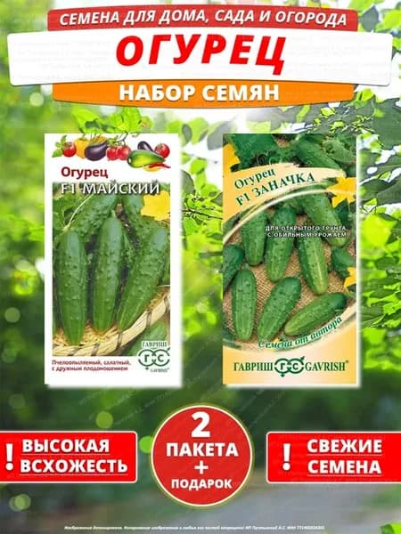 Семена огурец для дома сада посадки