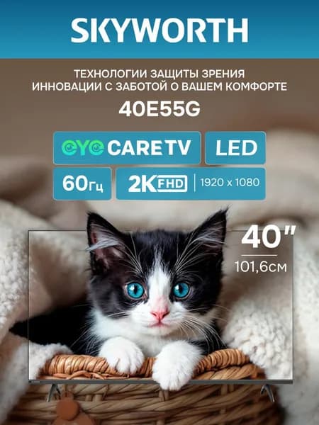 Skyworth Телевизор 40E55G 40″ Full HD, черный