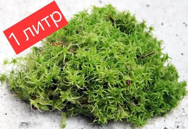 Мох сфагнум 1 литр