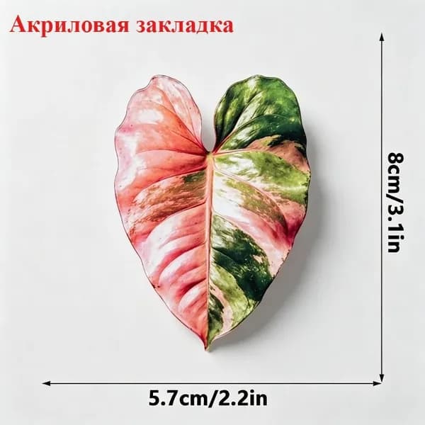 Закладка