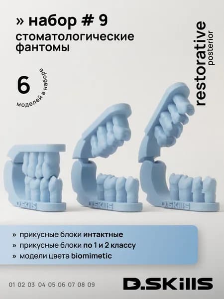 Набор #9 Модели зубов для реставрации (учебные фантомы) - прикусные блоки, цвет - голубой, 6шт